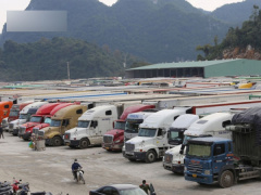 Ảnh bìa bài viết 814845