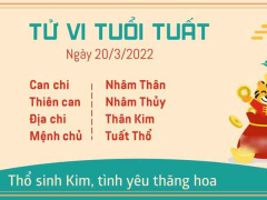 Ảnh bìa bài viết 814878