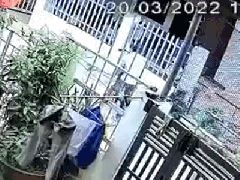 Ảnh bìa bài viết 815121