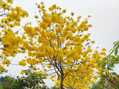 Ảnh bìa bài viết 815179