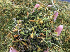 Ảnh bìa bài viết 815782