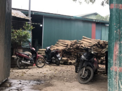 Ảnh bìa bài viết 815997
