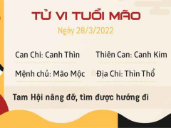 Ảnh bìa bài viết 816074