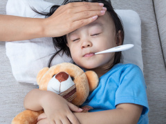 Ảnh bìa bài viết 816241