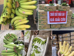 Ảnh bìa bài viết 816318