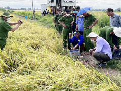 Ảnh bìa bài viết 816863