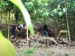 Ảnh bìa bài viết 816913