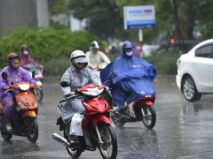 Ảnh bìa bài viết 817424