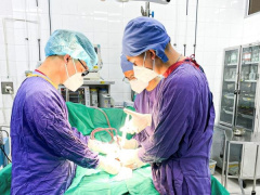 Ảnh bìa bài viết 817567