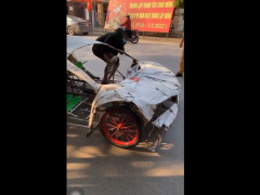 Ảnh bìa bài viết 817658