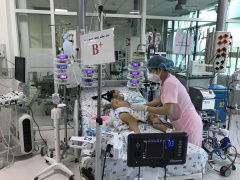 Ảnh bìa bài viết 817825