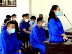 Ảnh bìa bài viết 817804