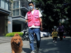 Ảnh bìa bài viết 818818