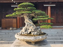 Ảnh bìa bài viết 819322