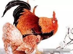 Ảnh bìa bài viết 820178