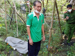 Ảnh bìa bài viết 820261