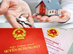 Ảnh bìa bài viết 820602