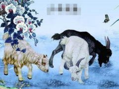 Ảnh bìa bài viết 820992