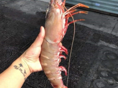 Ảnh bìa bài viết 821620