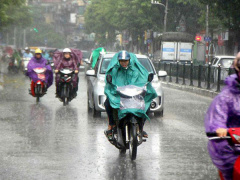 Ảnh bìa bài viết 822280