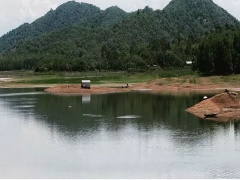 Ảnh bìa bài viết 822493