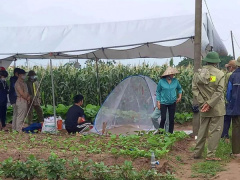 Ảnh bìa bài viết 822554
