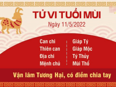 Ảnh bìa bài viết 822549