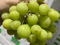 Ảnh bìa bài viết 822610