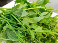 Ảnh bìa bài viết 824155