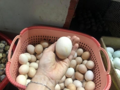 Ảnh bìa bài viết 824143