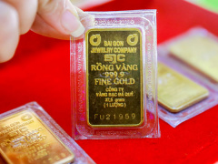 Ảnh bìa bài viết 824281