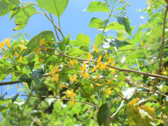 Ảnh bìa bài viết 824948