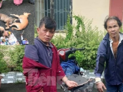 Ảnh bìa bài viết 825224