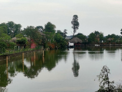 Ảnh bìa bài viết 825322