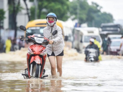 Ảnh bìa bài viết 825294