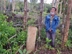 Ảnh bìa bài viết 825519