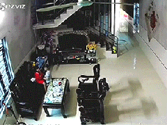 Ảnh bìa bài viết 825501