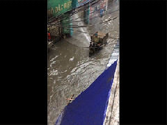 Ảnh bìa bài viết 825477
