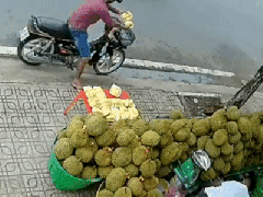 Ảnh bìa bài viết 825708