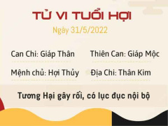 Ảnh bìa bài viết 825570