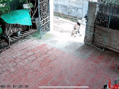 Ảnh bìa bài viết 825974