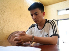 Ảnh bìa bài viết 826274