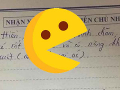 Ảnh bìa bài viết 826405