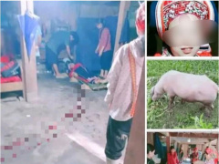 Ảnh bìa bài viết 826349