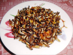 Ảnh bìa bài viết 826578