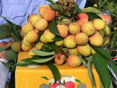 Ảnh bìa bài viết 826497