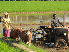 Ảnh bìa bài viết 826619