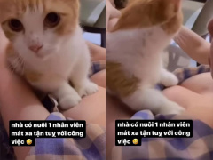 Ảnh bìa bài viết 826817