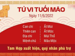 Ảnh bìa bài viết 827228
