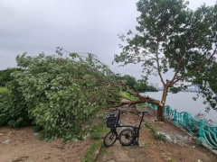 Ảnh bìa bài viết 827913